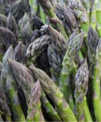 Asparagus