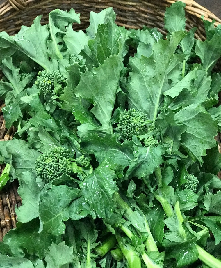 Broccoli Raab