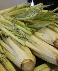 Cardoons