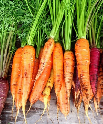 Direct Sow Vegetables