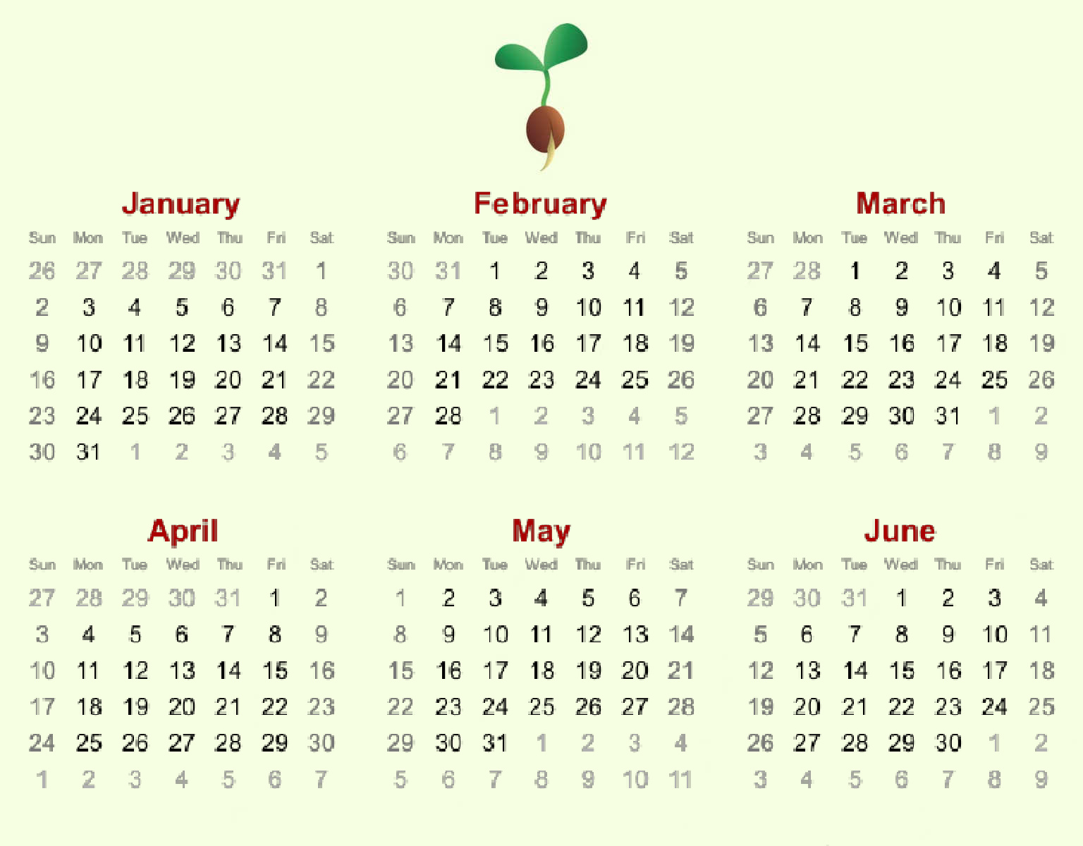 Seed-Starting Timetable