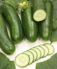 Slicing Cucumbers