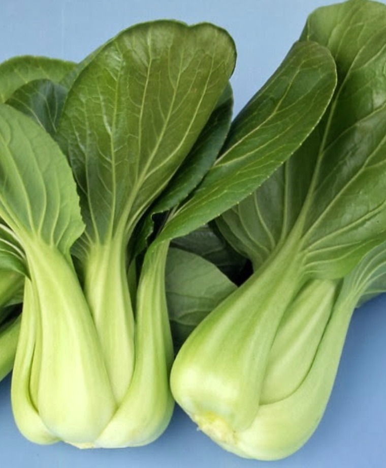 Pak choi