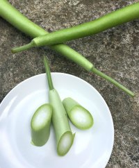 Edible Gourds