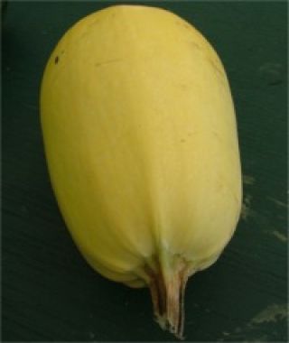 Tivoli Spaghetti Squash