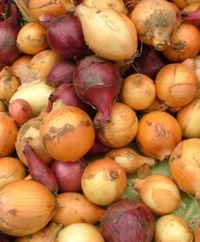 Onion Sets