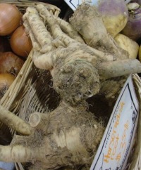 Horseradish Root