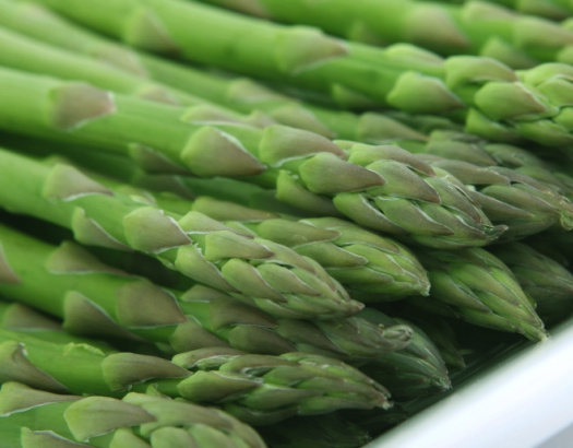 Asparagus Growing Instructions