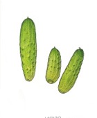 Cornichons