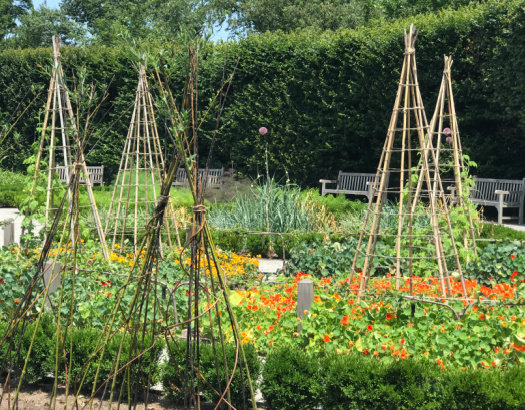 Gardening Resources