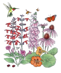 Habitat Gardens
