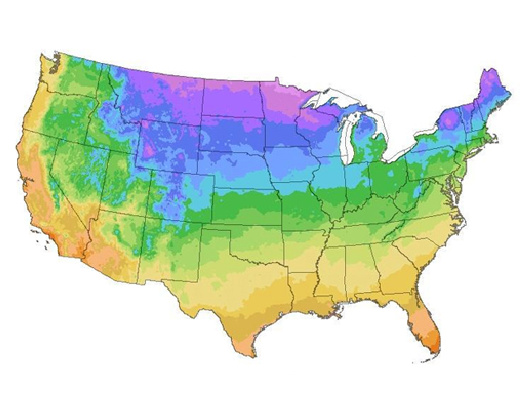 Plant Hardiness Zones