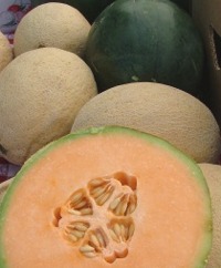 Melons