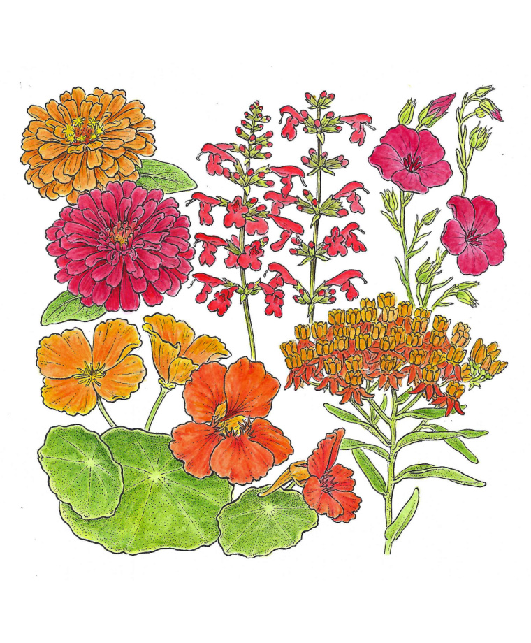 Mini Meadows