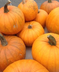 Pumpkins