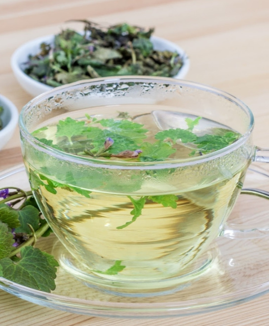 Tea Plants