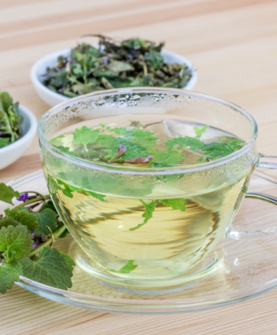 Tea Plants