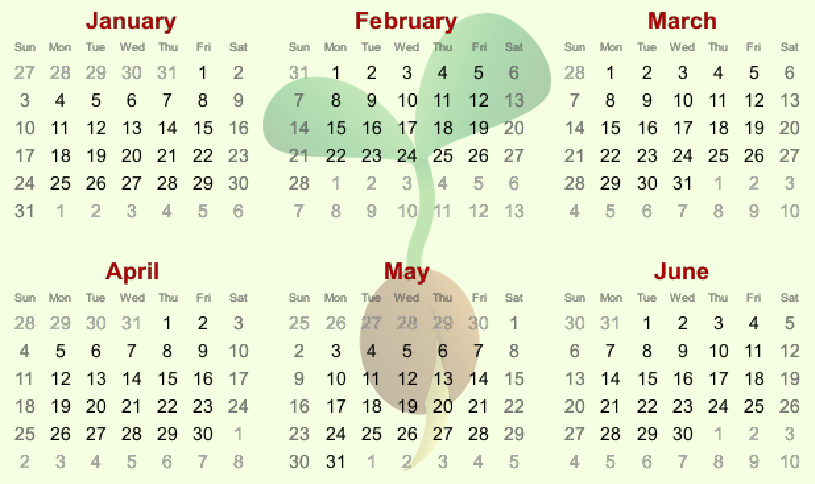 Seed-Starting Timetable