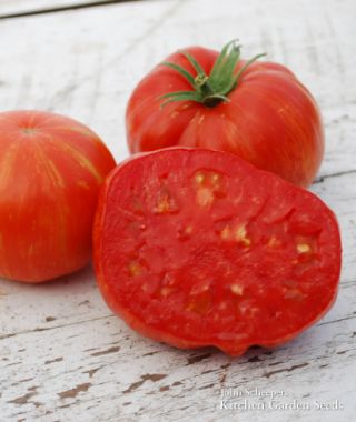 Solar Flare Tomato