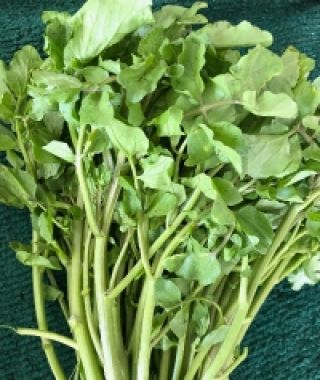 Watercress