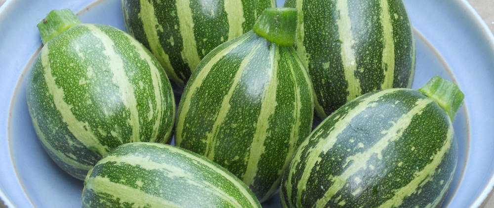 Space-Saving Veggies for Small Gardens